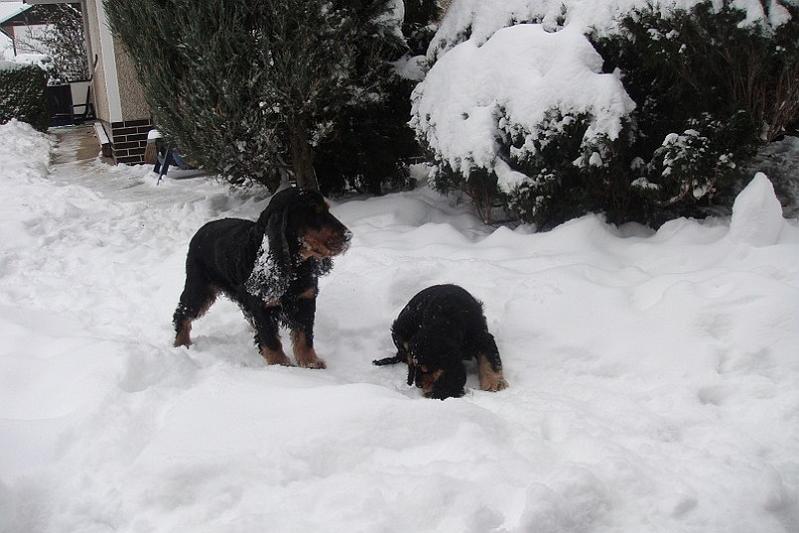 Art_25.1.2010 (13).JPG